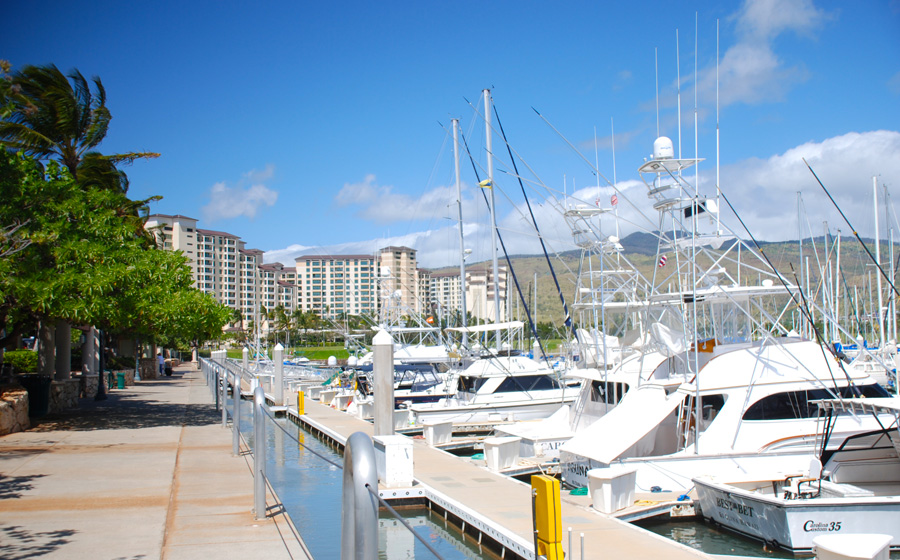 Hawaii Marina