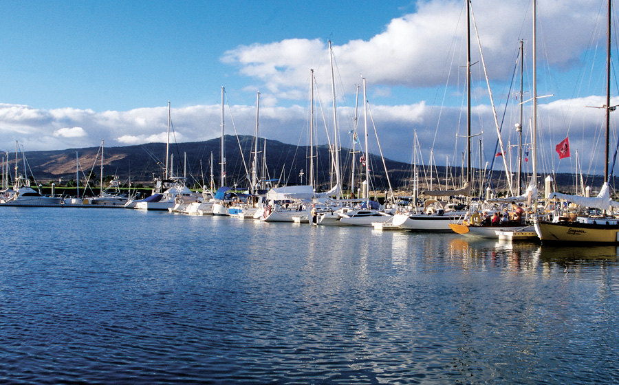 Hawaii Marina